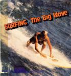 image book_usa_surfing-the-big-wave__75-21847_1976-jpg