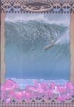 image surf-mag_hawaii_h3o_no_060_1994_dec-jan-jpg