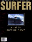 image surf-mag_usa_surfer__volume_number_34_07_no__1993_jly-jpg
