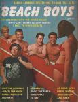 image surf-cover_usa_beach-boys__no_001_summer_1965-jpg